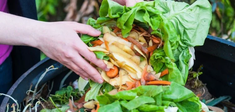 La spesa a km 0 taglia del 60% gli sprechi alimentari.